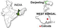 darjeeling